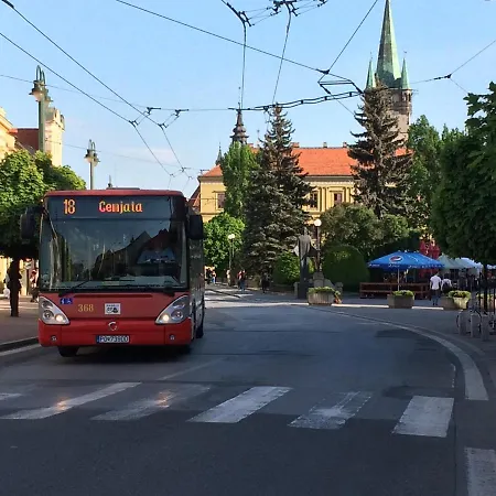 Affittacamere Rekreacna Chata Cemjata